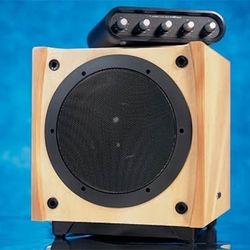 500 Watt Powered Home Subwoofers