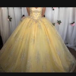 Quince  Dress / Prom Dress 