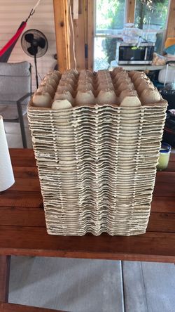 Eggs cartons
