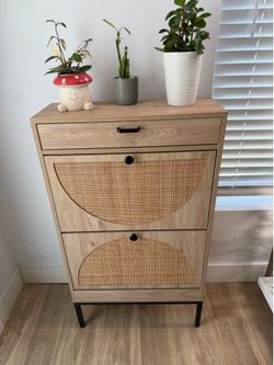 Shoe organizer Cabinet