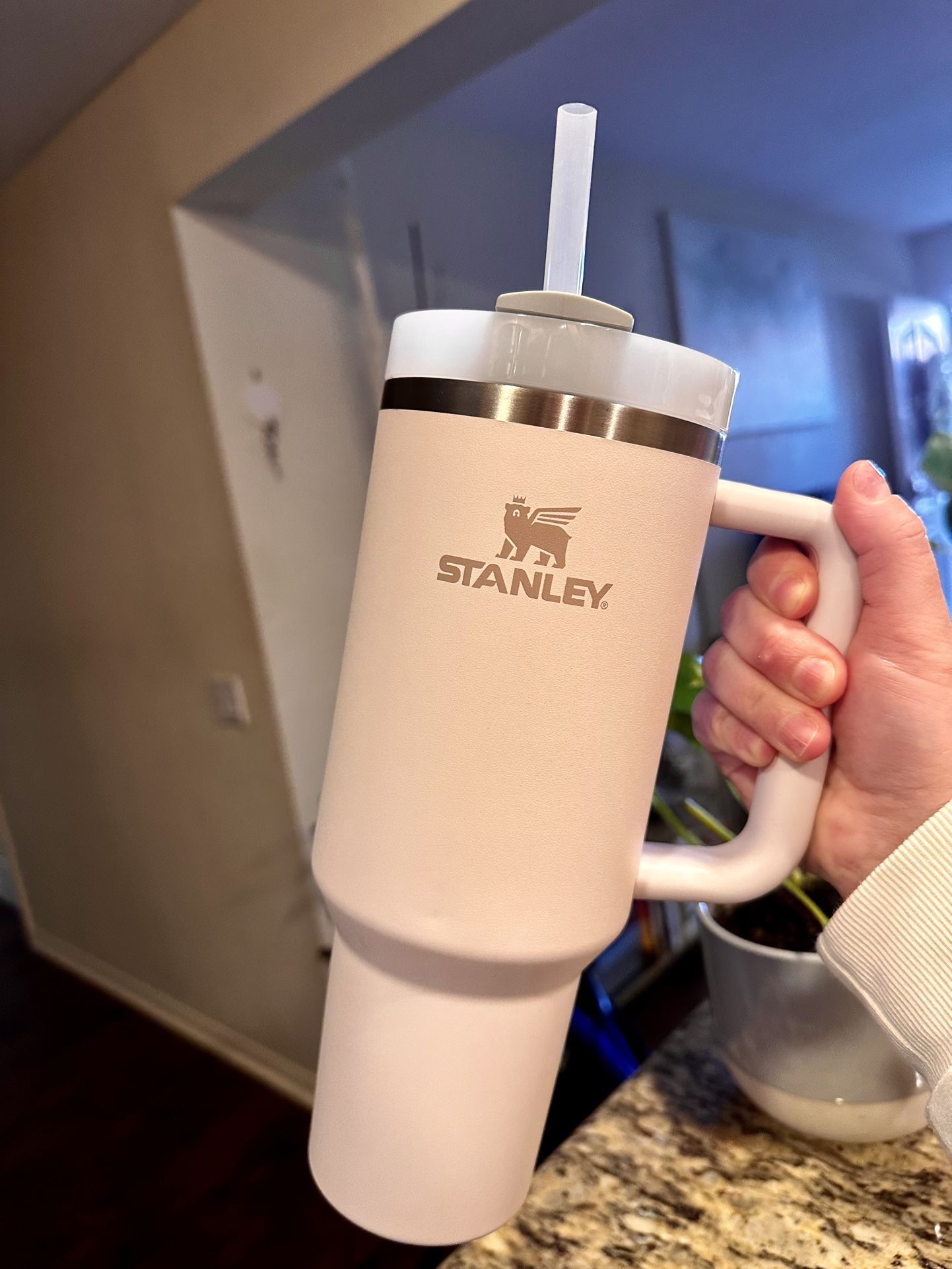 Stanley Quencher H2.0 Flowstate Tumbler 40oz Dune for Sale in Monterey  Park, CA - OfferUp