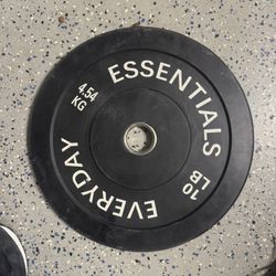 Everyday Fitness 10 lb Olympic Bumper Plates – Pair