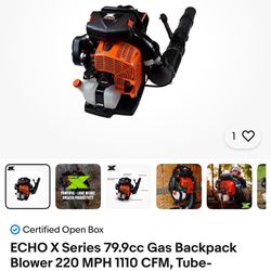 Echo Pb9010t Backpack Blower