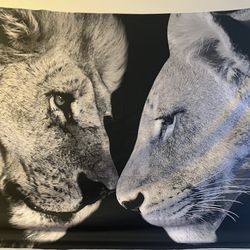 Lion tapestry