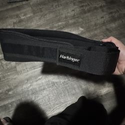 Lifting Belt