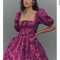 BHLDN Chloe Puff Sleeve Dress