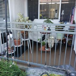 Fences And Gates