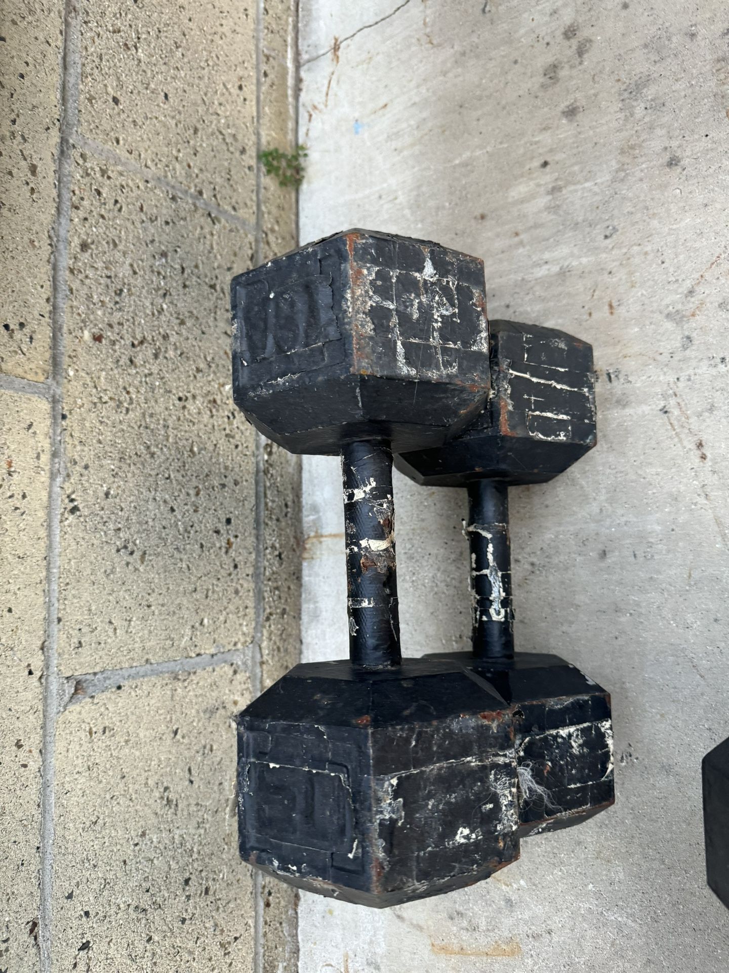 50 Lbs DUMBBELLS