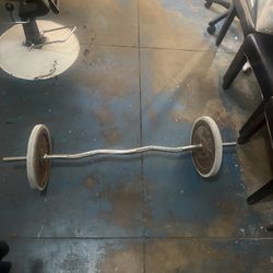 Curl Bar + (2) 25lb Steel Plates 