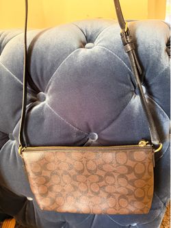 Coach purse and iPhone 17 pro case