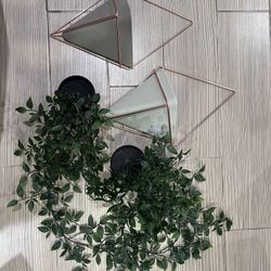 Hanging Planters 