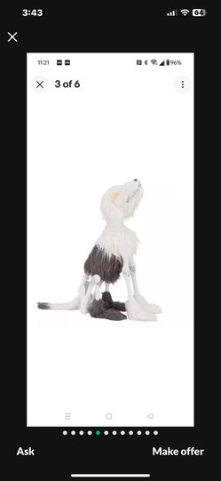 Halloween Skeleton Dog