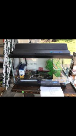 10 gal fish aquarium setup
