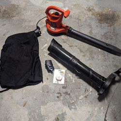 Leaf Blower With Bag And Weed Eater $125 OBO
