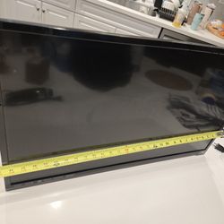 29 Inch Vizio 