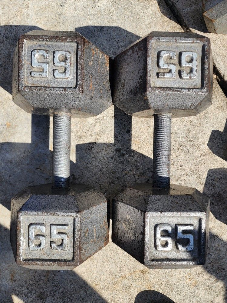 65 Pound Dumbbells 