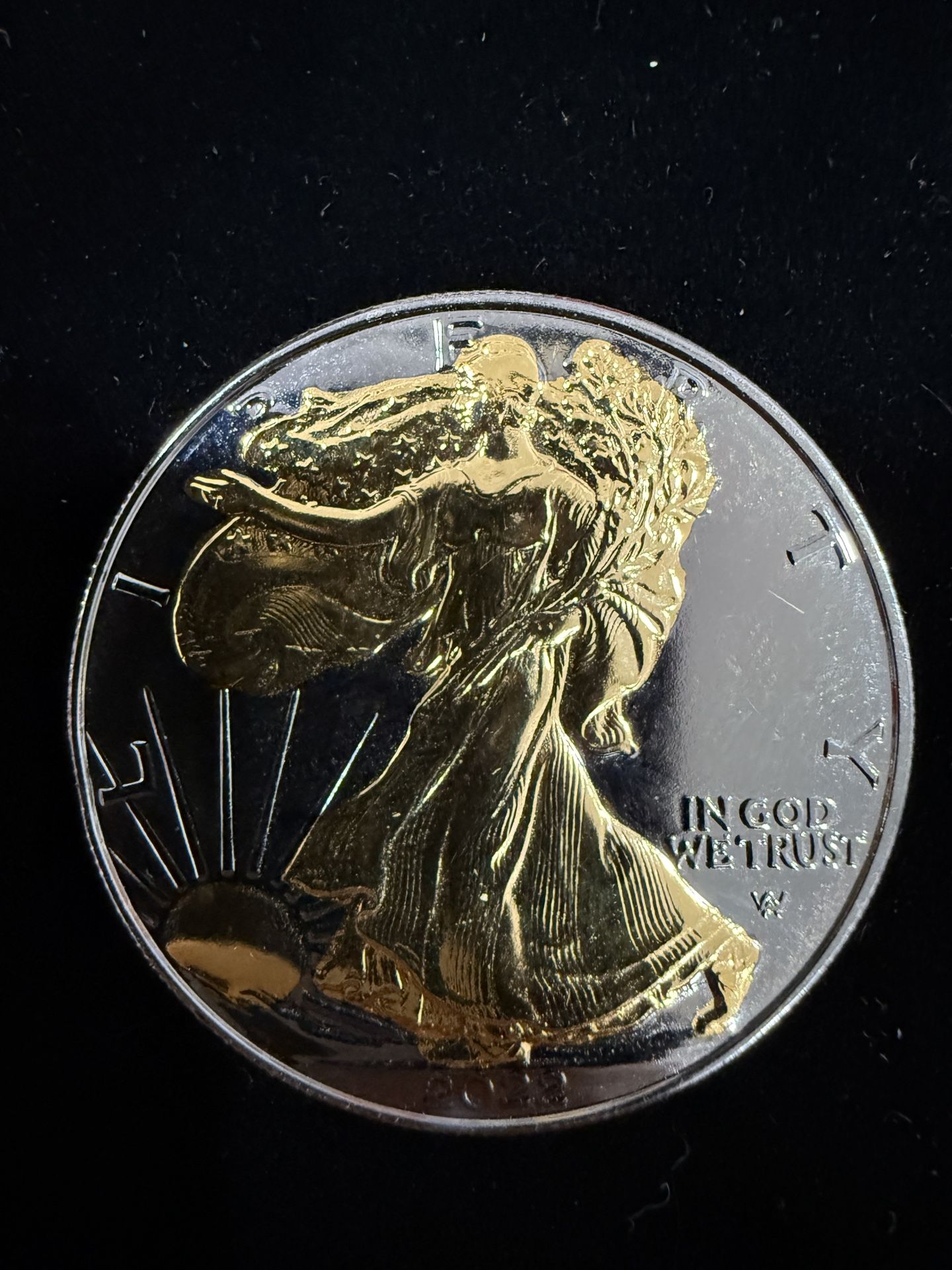 2024 1 oz .999 Silver BLACK RUTHENIUM American Silver Eagle ASE Gold & Ruthenium
