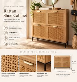 Shoe cabinet in the box