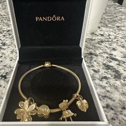 Pandora Bracelet 