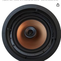 Altavoz De Techo 