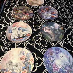 7 Collectors Plates Of Cats