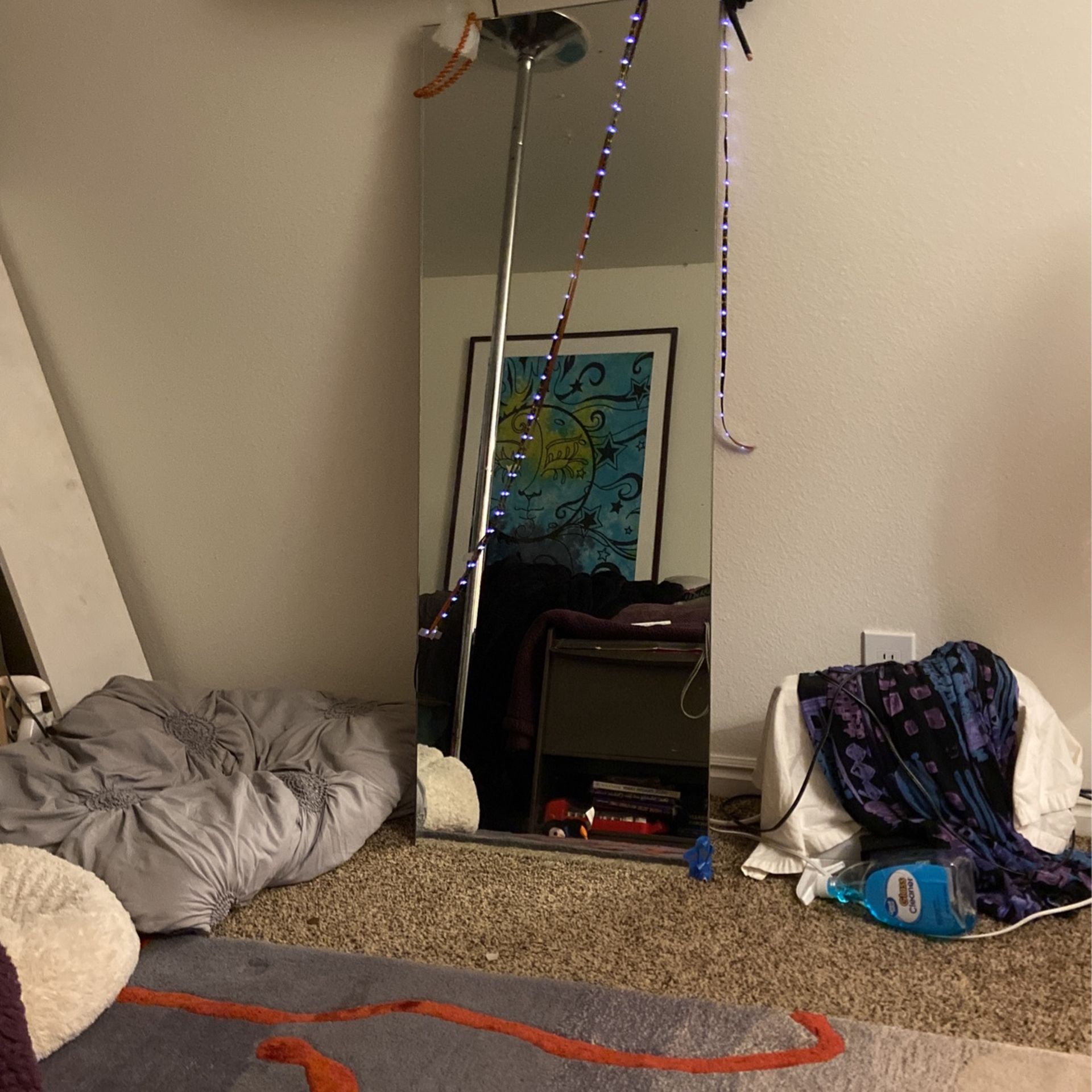 Mirror 56’x 20’