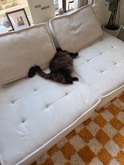 FREE! Modern Cream Modular Sofas – Must Go ASAP!