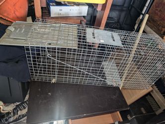 Trap Cage Larger Worth 80 New