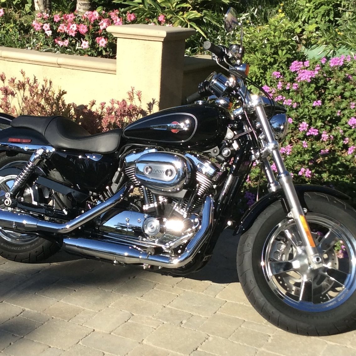 2014 Harley Davidson Sportster 1200 Custom