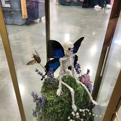 "Real" Fairy Skeleton With Real Butterfly Wings In Lantern
