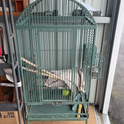 Bird Cage 