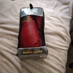 Red Traditional Style 12 Oz Slip On Everlast Boxing Gloves