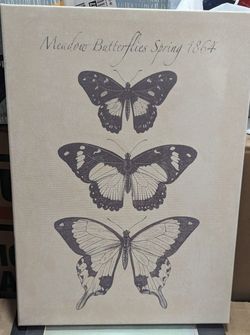 IKEA Canvas Butterfly Prints 