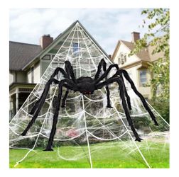 18ft spider Webb & 5 ft spider