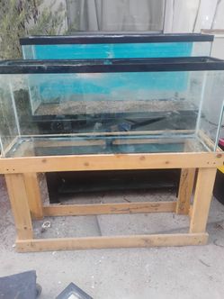 55 Gallon Aquarium with Stand