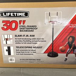 30”  Steel Framed Basketball Hoop- Lifetime