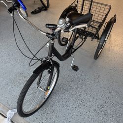 Adult Tricycle 