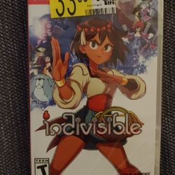 Nintendo Switch Indivisible