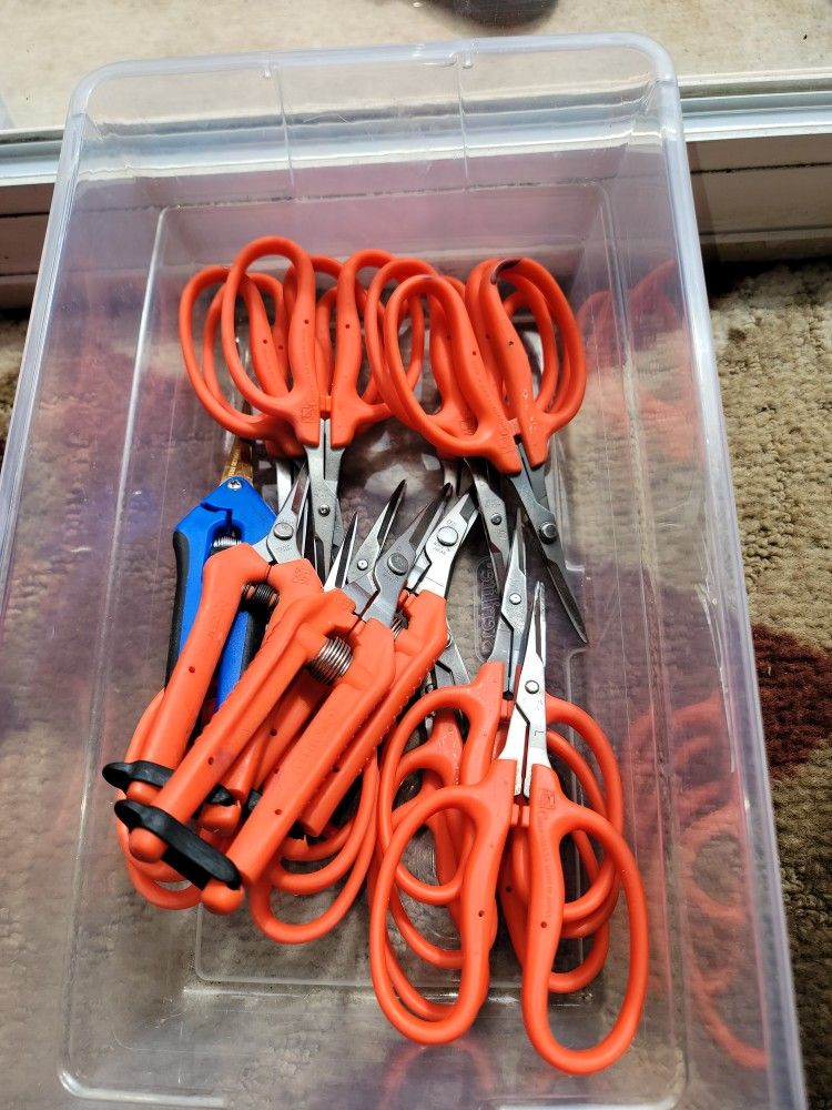 ✂️ Plant Trimming Scissors – Bundle Deal! 🌿