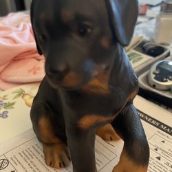 Lennox Statue Rottweiler Puppy
