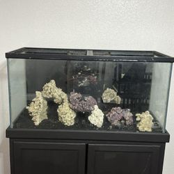 90g Fish Tank