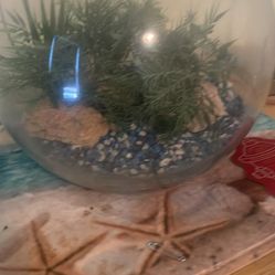 Fish Bowl Glass
