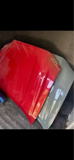 Toyota Tacoma.   Hood.