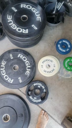 Rogue Echo V2 Bumper Plates and Ohio Bar