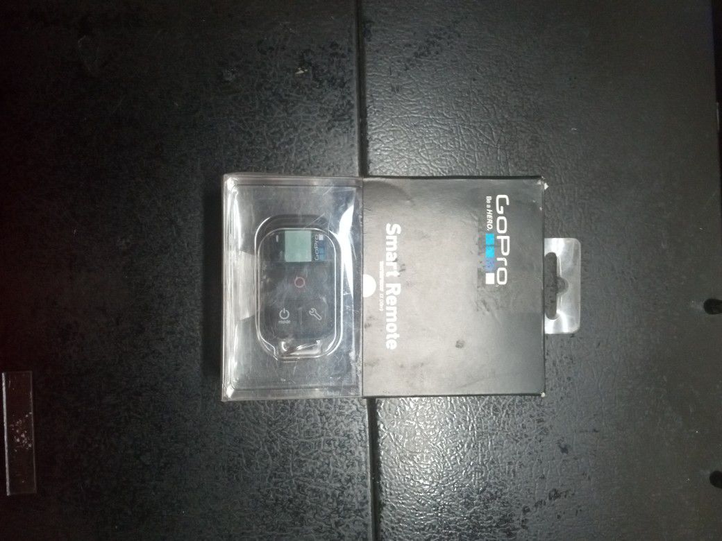 GoPro Smart Remote 