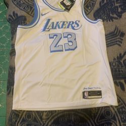 Lebron sleeved swingman sales jersey