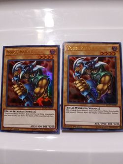 Yugioh Vorse Raider