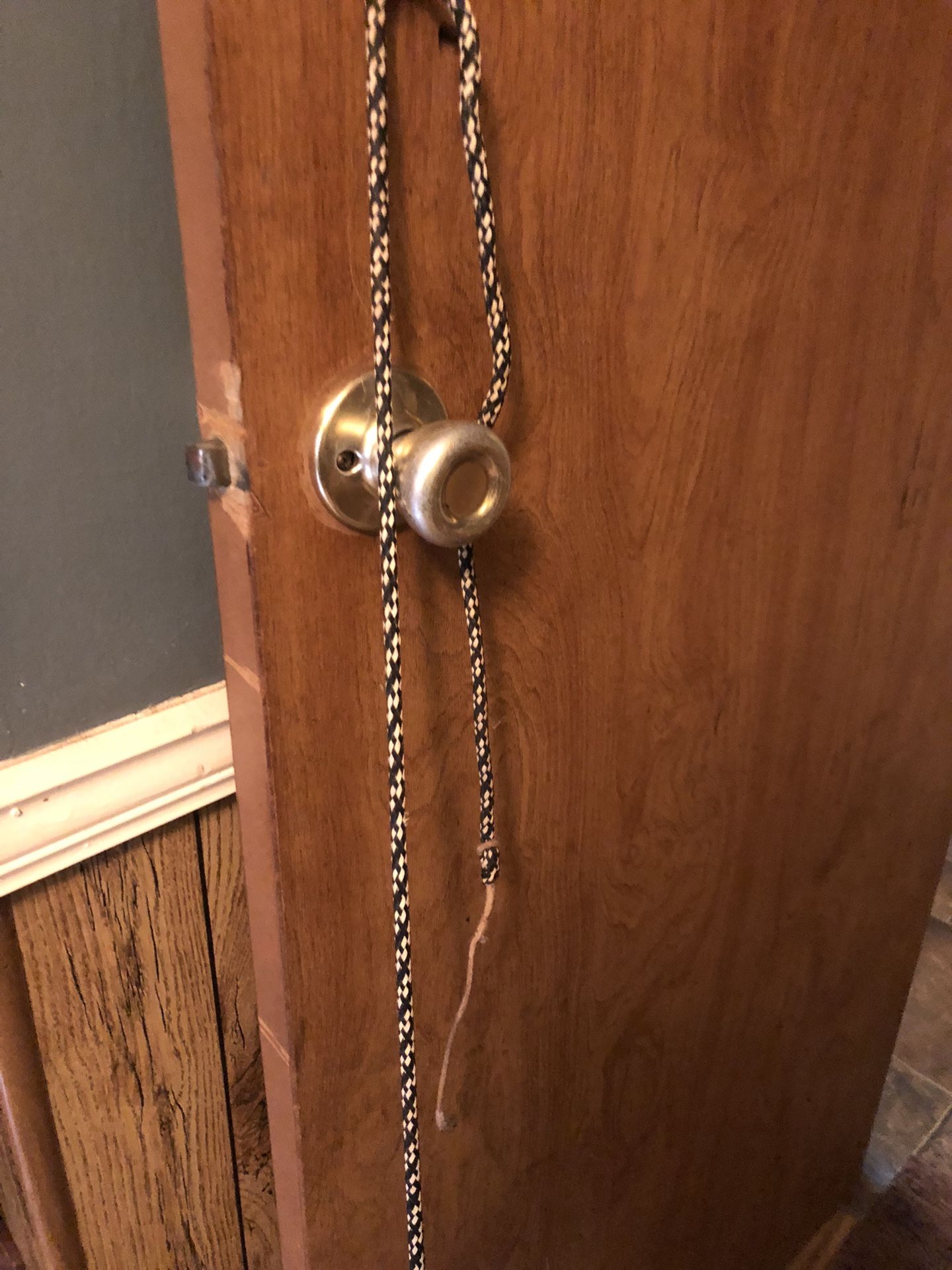 Horse Whip 