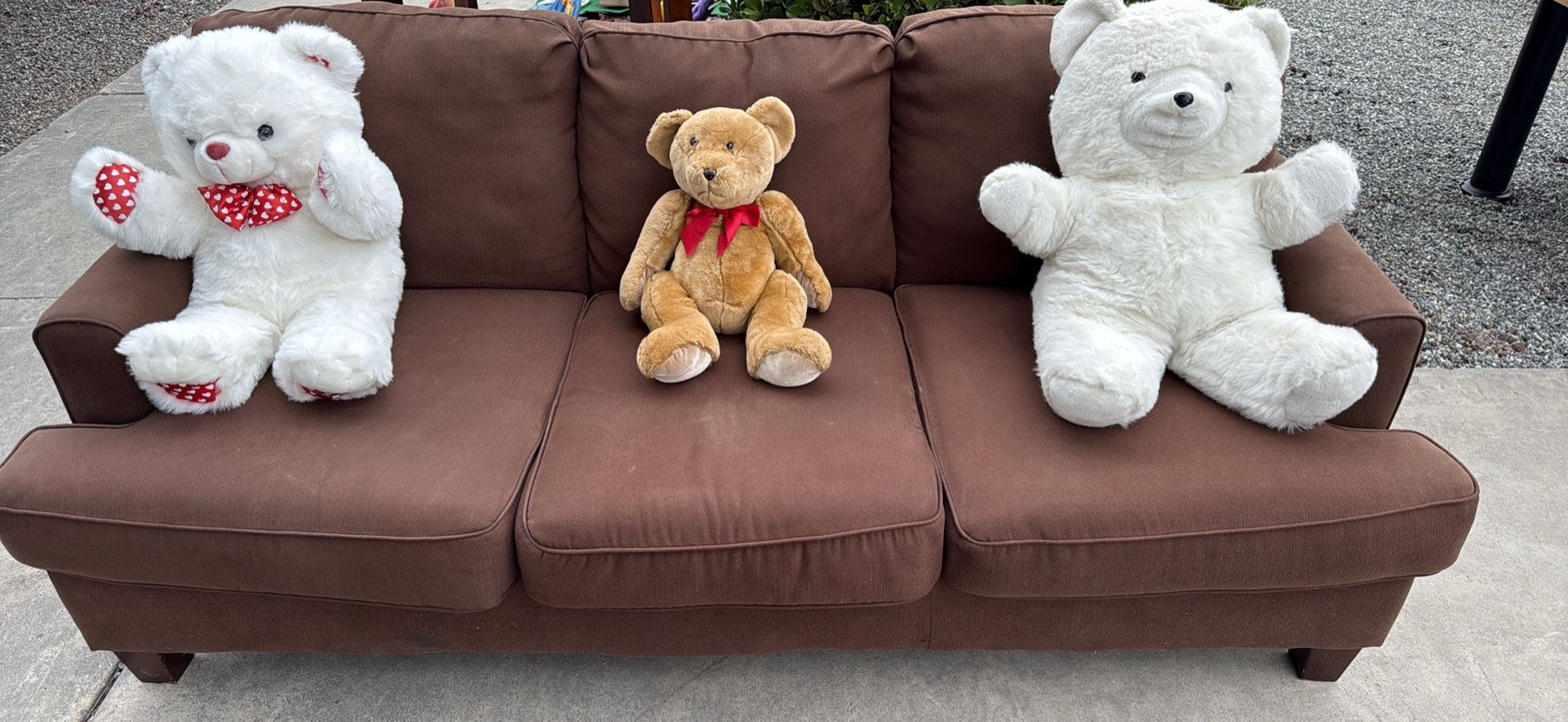 Couch Brown $100