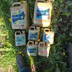 Dutch Masters Hydroponics Nutrients 